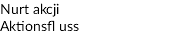Nurt akcji Aktionsfl uss