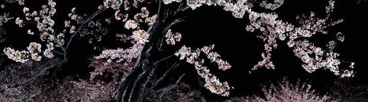 image-048